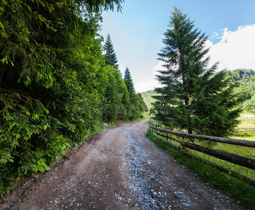 山林公路