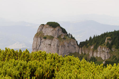 美丽的 森林 丘陵 颜色 欧洲 自然 喀尔巴阡山 罗马尼亚语