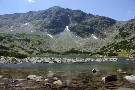 美丽的 徒步旅行 美好的 有趣的 公司 孤独的 岩石 草地