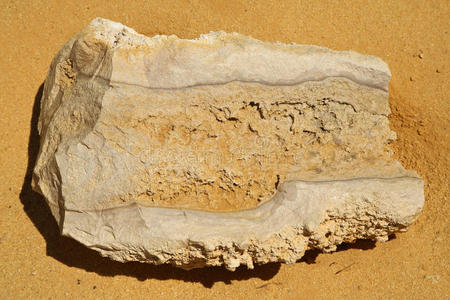 澳大利亚西部沙漠上的化石