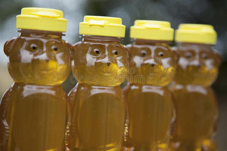 一排金色的蜜熊