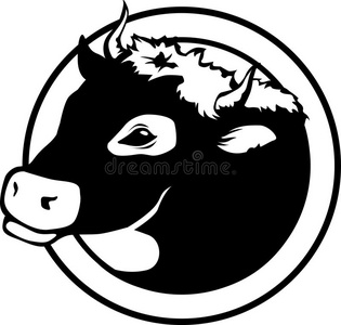 奶牛头黑白头奶牛照片