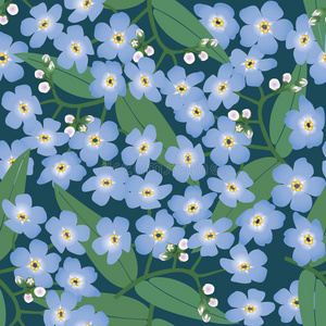 蓝色花朵的无缝背景