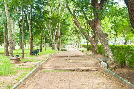 通路 广场 人行道 花园 古老的 公园 建筑学 场景 傍晚