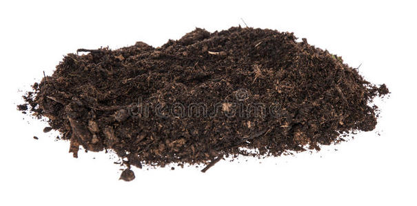 湿润的泥土图片