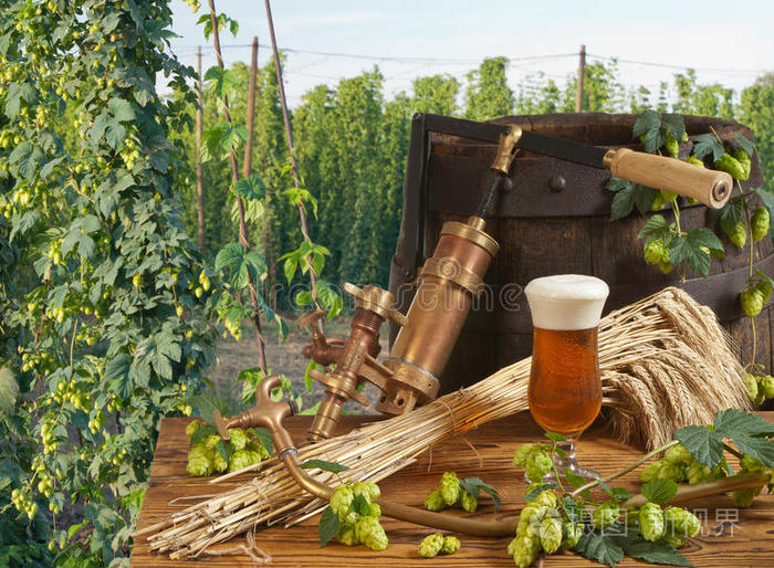 啤酒和啤酒花花园