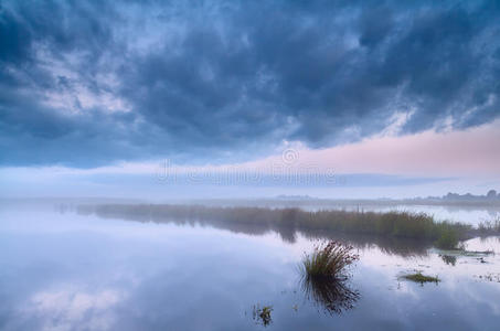 地平线 日落 朦胧 荷兰 阴云密布 植物 黄昏 德伦特 情景