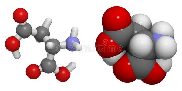 天冬氨酸asp，d分子