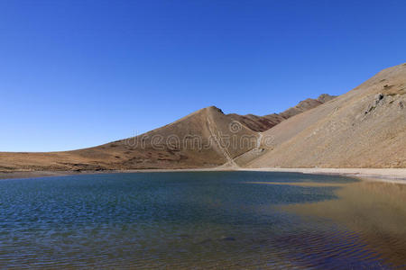 风景 法国 指向 普罗旺斯 欧洲 阿尔卑斯山 公园 景象