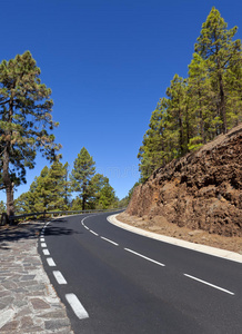 特内里费通往泰德火山的山路