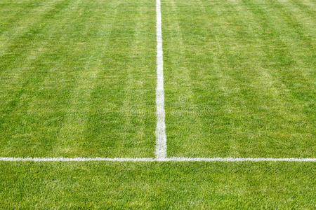 比赛场地图片夏季赛场上的年轻女子图片森林赛场上的