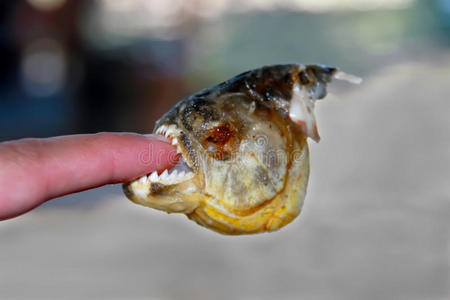 米老鼠包包钩法图片