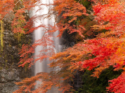 秋天的米诺瀑布