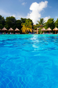 热带游泳池