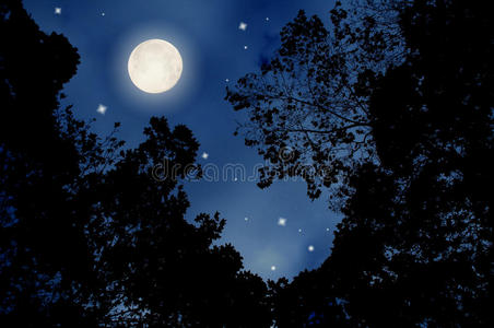 月圆人团圆图片