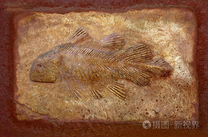 龙鱼类骨骼化石足迹恐龙史前鱼类考古学概念化石鱼石器时代鱼的模型