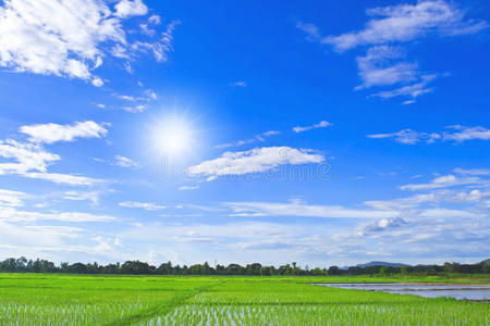 天空和田野