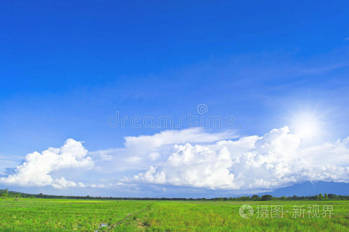 天空和田野