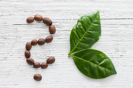 咖啡豆和咖啡叶