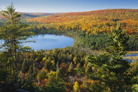 明尼苏达州的一个蓝色的湖，在五颜六色的秋树中