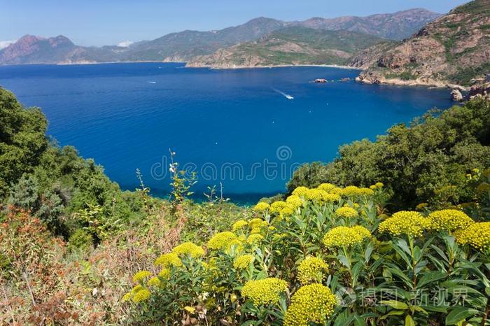 科西嘉岛 自然 侵蚀 地中海 海岸 海岸线 风景 法国 美丽的