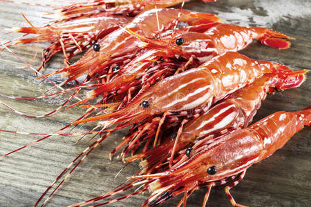 食物 木材 营养 餐厅 磷虾 居住 甲壳类动物 钓鱼 贝类