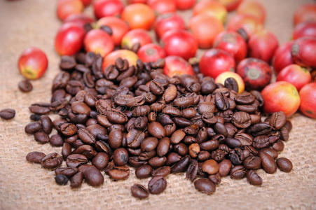 新鲜生咖啡豆