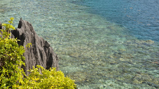 热带海景