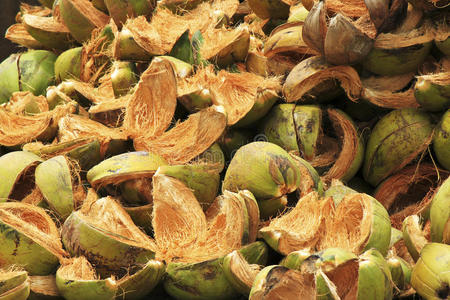 椰子皮图片-椰子皮素材-椰子皮插画-摄图新视界