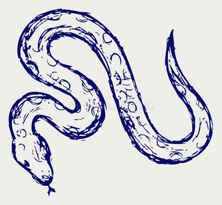 蛇形素描