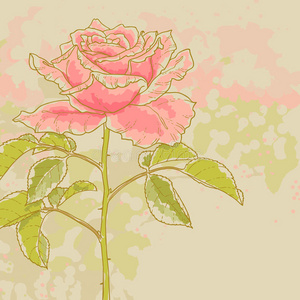 色调背景上的粉红玫瑰