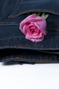 牛仔裤口袋里的粉红玫瑰图片
