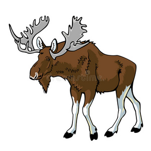 驼鹿驼鹿图片-驼鹿驼鹿素材-驼鹿驼鹿插画-摄图新视界