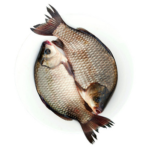 盘子里绘画鱼图片