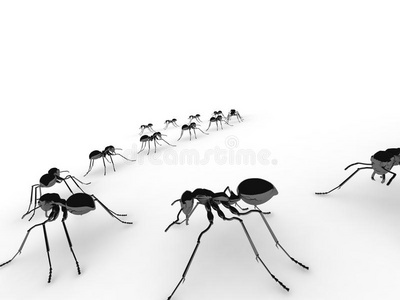 一群昆虫，蚂蚁，排成一行在地板上