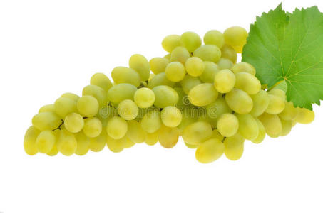 多汁的成熟葡萄