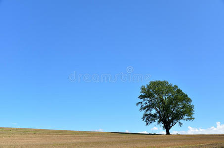 北海道风景图片 北海道风景素材 北海道风景插画 摄图新视界