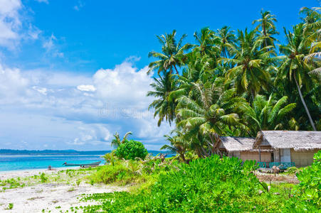 热带岛屿景观带小屋