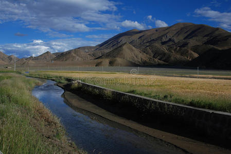 西藏农村图片