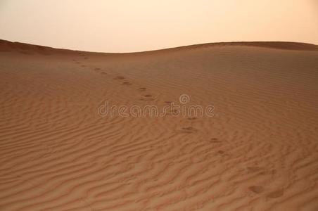 沙漠沙丘上的脚印