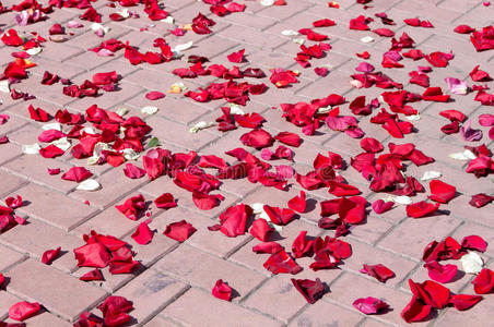 散落在人行道上的红玫瑰花瓣照片