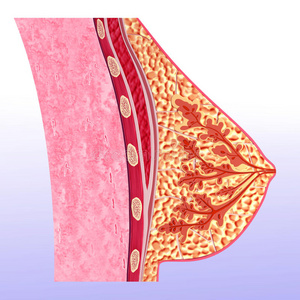 生气影响乳腺图片