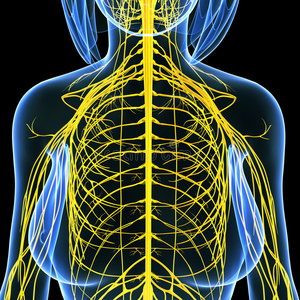 神经系统检查图片