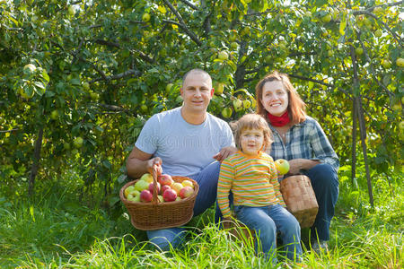 花园里苹果丰收的幸福家庭