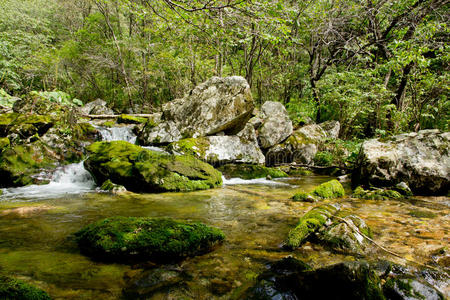 山中河道青翠图片