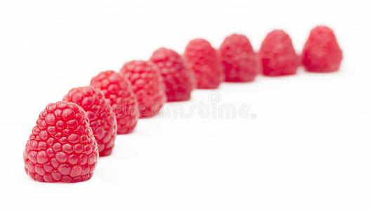 一排成熟的新鲜红莓