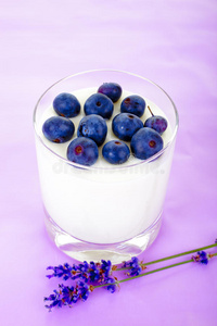 水果 甜点 小吃 公司 早餐 乳制品 浆果 玻璃 产品 酸奶