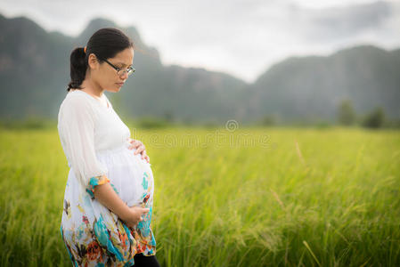 美丽的亚洲孕妇在稻田里