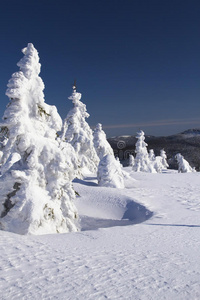 冬季雪景