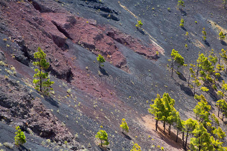 圣安东尼奥火山口